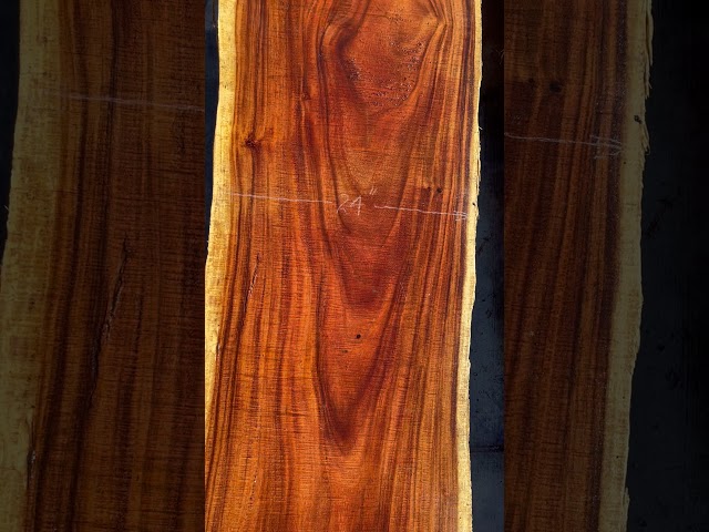 Monkey Pod Rain Tree Slab #13