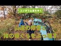 （再アップ）雨と猪に破壊された山道の修復と猪のねぐらぶっ壊す