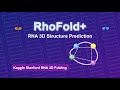 RhoFold+ Explained: AI Predicts RNA 3D Structures in Minutes