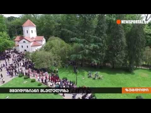 მშვიდობიანი მსვლელობა