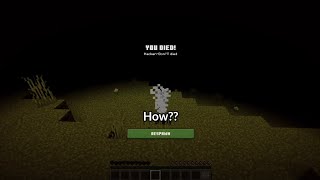Wait What?? Minecraft Meme Part 1
