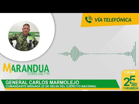 Suspende operaciones militares contra las Farc en Guaviare