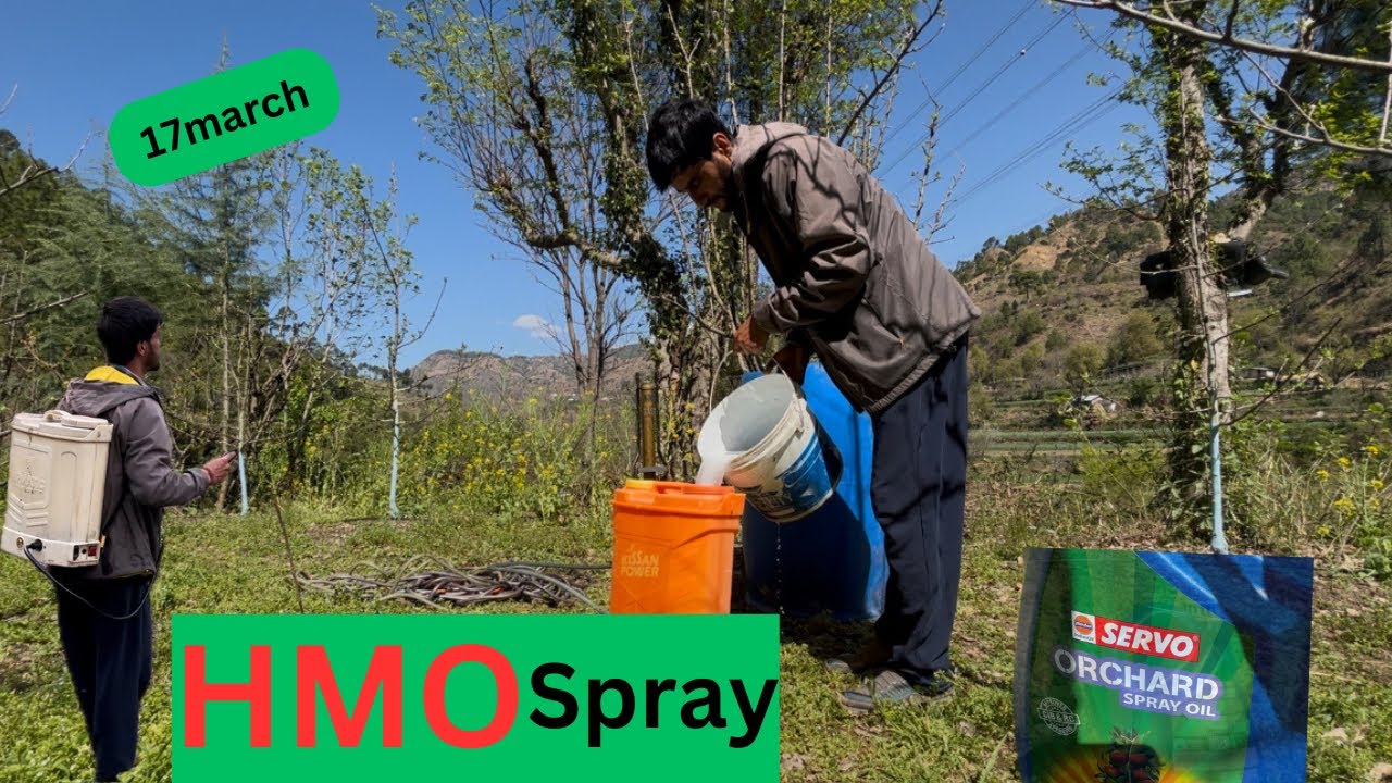 HMO spray in my Apple🍎Orchard 