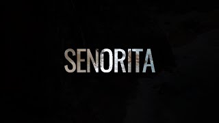 Shawn Mendes & Camila Cabello - Senorita (Paul Gannon & Zander Nation Bootleg)