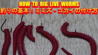 ミミズ ゴカイの付け方 エサ釣りの基本 でら釣りブログ