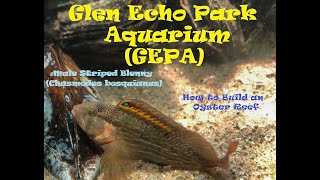 How to Build an Oyster Reef for an Oyster Reef Biotope Aquarium