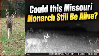 It's a BUCK Parade! Trail Cam intel! From Deer Desert to Buck Parade in 2 years!
