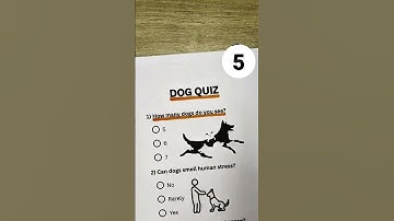 How to viral riddle to answer all of them? #quizvideo #funnyquestions #quizchallenge #riddles