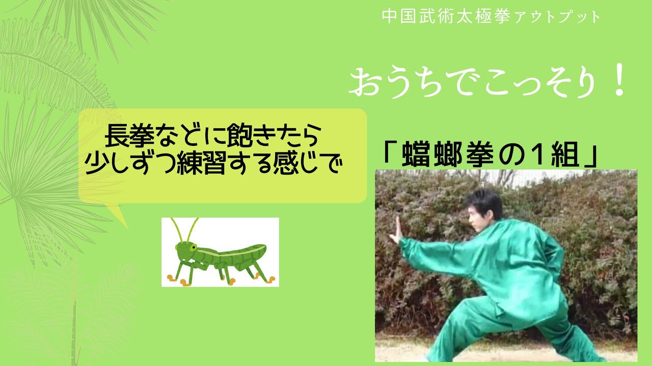 中国武術「武壇雑誌合訂本 螳螂拳関連7点セット」 中国武術「武壇雑誌