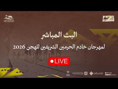 البث المباشر لاستديو خط النهاية والأشواط المسائية في مهرجان خادم الحرمين الشريفين للهجن 2026 