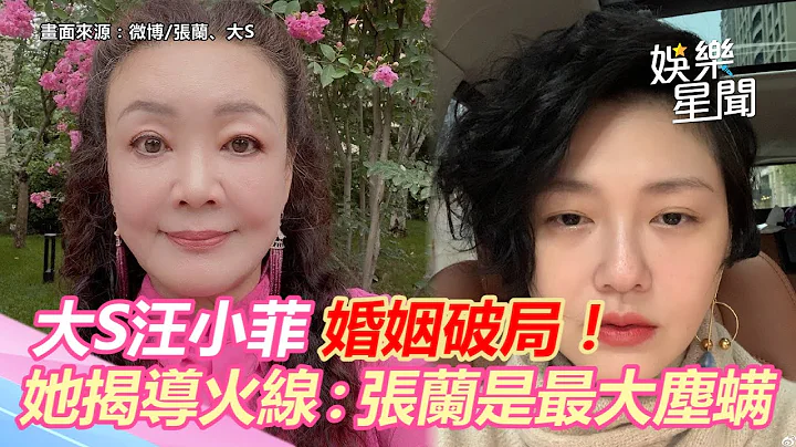 大汪婚姻破局！美女医揭导火线直言「张兰就是最大的尘螨」｜三立新闻网 SETN.com - 天天要闻