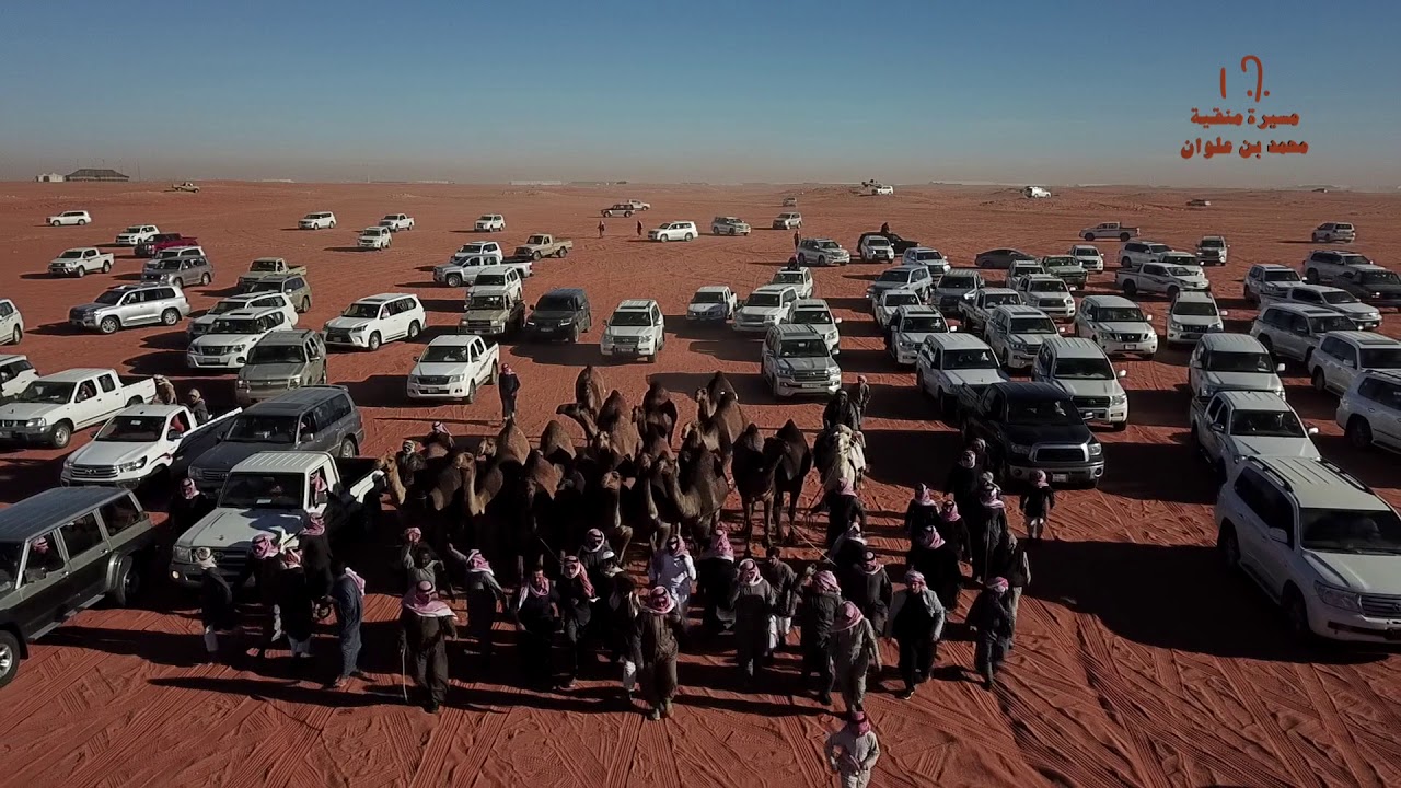 منقية  محمد بن علوان شيلة  بنات الهرش