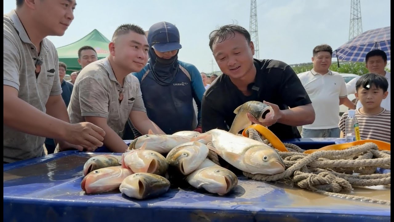 大表哥暖心的一幕包下一个粉丝家鱼塘，帮助粉丝解决燃眉之急！#捕鱼#野外#户外