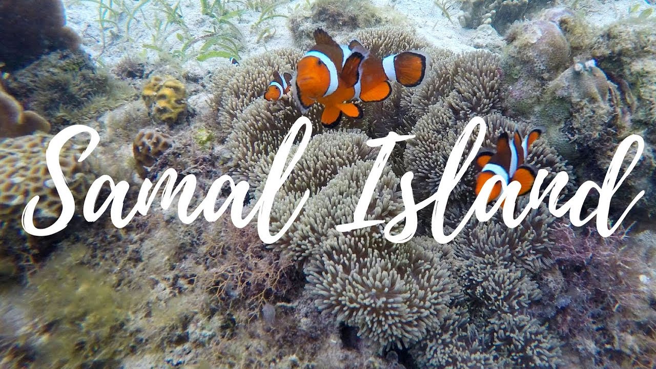 Samal Island Travel Vlog | Davao, PHILIPPINES