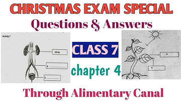 Christmas Exam Question paper & Answer | Class 7 Basic Science chapter 4 Through Alimentary Canal