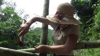 FULL VIDEO: 120 Days Solo Bushcraft, Build Bamboo House And Project Completion, LIVING OFF GRID