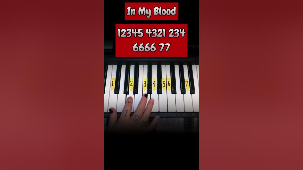 🩸In My Blood🩸 @shawnmendes #easy #piano #shorts #inmyblood #song #music #tutorial #fyp