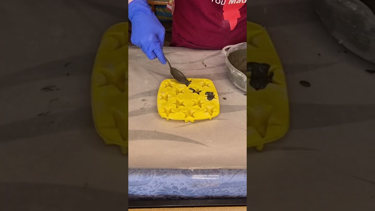 Concrete Butterflies from Homemade Silicone Mold & some Concrete Stars