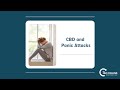 CBD and Panic Attacks - Dr. Jim Collins