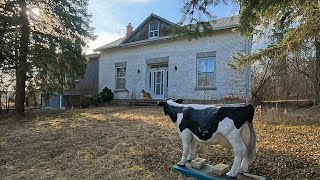 Canadian Government Forced Family To ABANDONED Everything Including Their Farm!