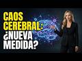 Descubriendo los Estados Quimera en Redes Neuronales: Una Nueva Medida Revolucionaria