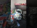 Stay sleepy #furry #cosplay #furrycontent #fursuit #fursuiter #furries #sleep #furrycomunity
