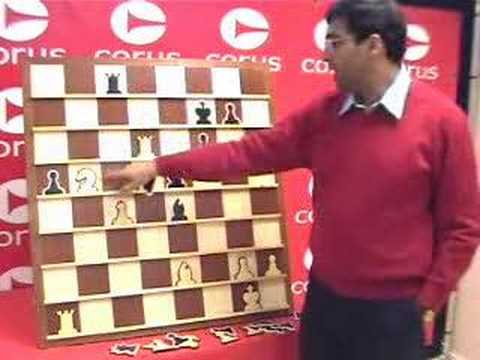 Corus 2007 | Anand After Round 9 Part I