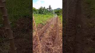 Lanjaran Kcp Model Segitiga Dari Benang Kawatdan Tali Nilon