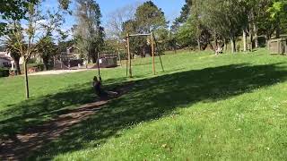 IMG 5434