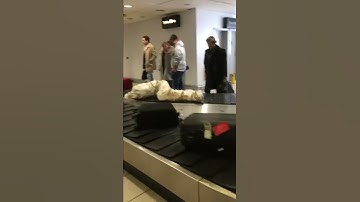 Mannequin Lamp Raises Eyebrows at Baggage Claim || ViralHog