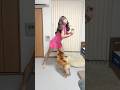 イェナを踊るおっさんとスカートめくりする柴犬　#柴犬 #イェナ #shorts
