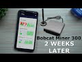 Bobcat Miner 300 ($HNT) - Results After 2 Weeks | Helium Hotspot Miner