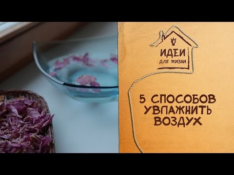 5 способов увлажнить воздух [Идеи для жизни]