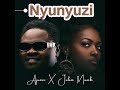 Nyunyuzi official audio  ajuna  julia