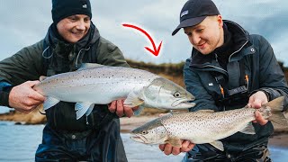 VINTERENS FØRSTE OVERSPRINGER!? Jagten På Den Store Kystørred ❄️