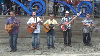 Video thumbnail of "El Bobo    Los Parranderos del Campo"