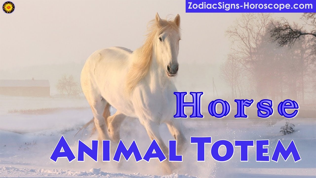 Horse Animal Totem Horse Spirit Animal Meaning, Symbolism, Dream of