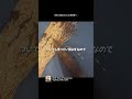 実は結構難しいGBPの修理が辛い…！ #レトロゲーム