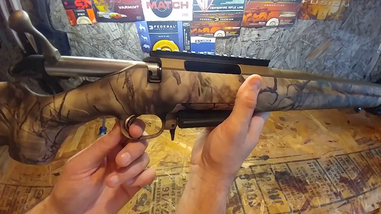 ruger-american-predator-go-wild-243-project-part1-youtube