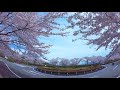 #富士霊園#insta360 Ace pro