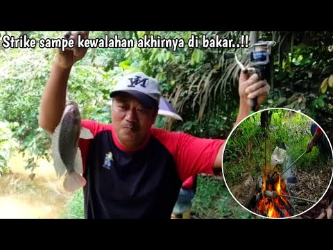 Video: Pembuka Sarang Ikan