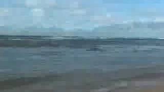 The Lemos Family Having Fun In The North Shore Surf