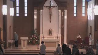 Thirteenth Sunday in Ordinary Time