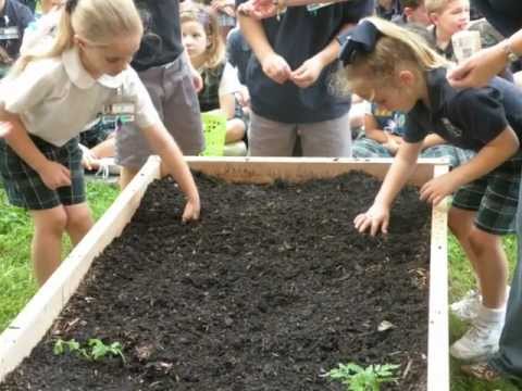 Teaching Garden 2012 - St Pius Elementary School