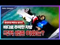 6m 아래 바다로 추락한 차량, 극적으로 생존할 수 있었던 이유는? | 닥터스 응급실24 응급의학과 의사 119 구급대원 의학 다큐 다시보기