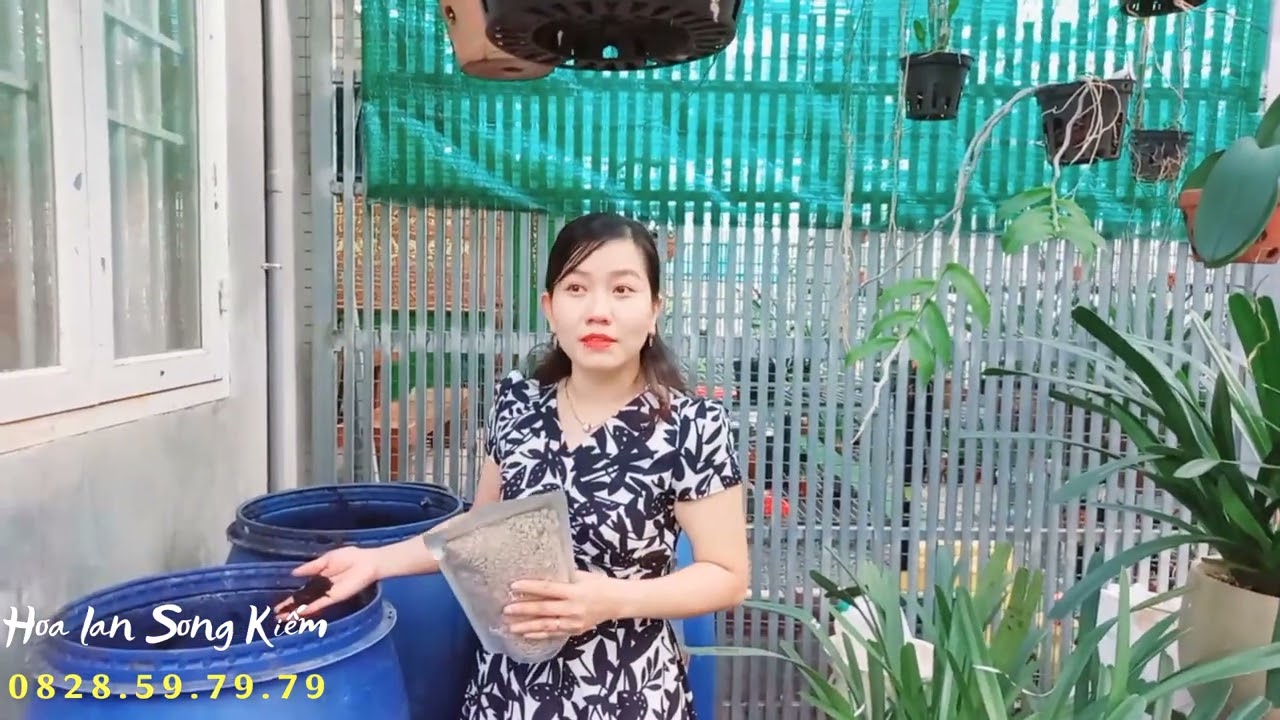 IMO. Cách ủ Phân Chim yến Vi sinh Hữu cơ chăm sóc Hoa Lan, Hoa Hồng, rau xanh Cây trồng!