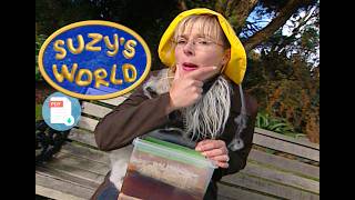 Where Does Oil Come From? - Suzys World Suzy Cato Science Fun For Kids Investigation Nz