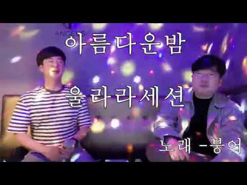 을랄라세션 - 아름다운밤 (cover by 붕어)