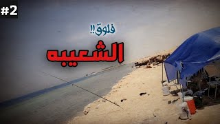 رحلة صيد خفيفه في الشعيبه | Fishing trip &  camping in the Red Sea Jeddah fishing