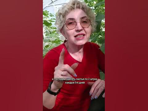 формирование огурца #огурец #дачныесоветы - YouTube